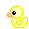 adorable duck.