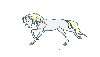 galloping white pony 