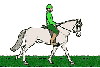 green jocky white pony