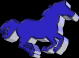 colour code pony