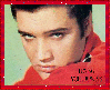 Elvis Presley-Loving you Always!
