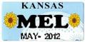 Mel - License Plate - Kansas - Background