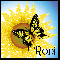 Sunflower And Butterfly - Roni