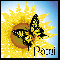 Sunflower And Butterfly - Pami