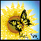 Sunflower And Butterfly - NayNay