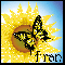 Sunflower And Butterfly - Fran