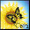 Sunflower And Butterfly - Cathi