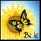 Sunflower And Butterfly - Belle