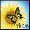 Sunflower And Butterfly - Anna