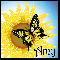 Sunflower And Butterfly - Amy