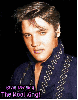 Elvis Presley-The Kool King!