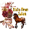 Pretty Horse 2 -Lisa