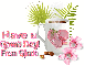 Tropical Coffee- Glinda