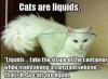 Cats are liquids...