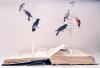 The Birds and The Books