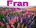 Beautiful Field of Flowers- Fran