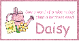 Plant Kindness - Daisy