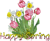 Happy Spring~Flowers