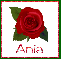 June Rose for Ania