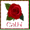 June Rose for Cathi