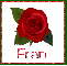 June Rose for Fran