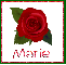 June Rose for Marie