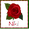 June Rose for Niki