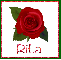 June Rose for Rita