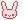 P!nk Bunny