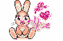 Chloe - Rabbit
