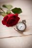 Rose and time piece