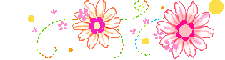 Pink floral divider - div - spring