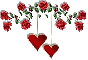 Red Rose & Hearts divider - div - vday