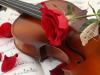 Violin with roses