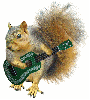 squirrel playing guitar