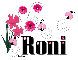 Pink flowers - Roni