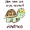 Slow Down Turtle - Andrea