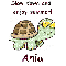 Slow Down Turtle - Ania