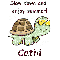 Slow Down Turtle - Cathi