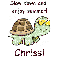 Slow Down Turtle - Chrissi