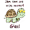 Slow Down Turtle - Gied