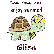 Slow Down Turtle - Giina