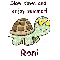 Slow Down Turtle - Roni