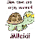 Slow Down Turtle - Mileidi