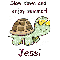 Slow Down Turtle - Jessi