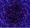 Blue purple - background