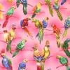 Pink parrot - background