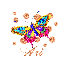 Rainbow Butterfly - Ari
