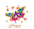 Rainbow Butterfly - Fran