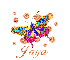 Rainbow Butterfly - Jaya